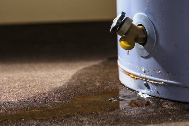 Reliable Paloma Creek, TX Water damage restoration Solutions
