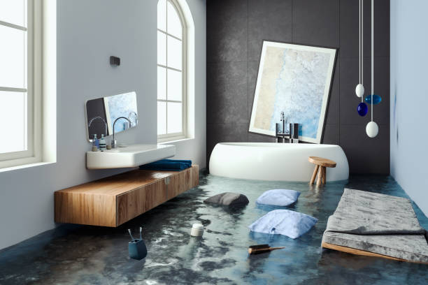 Best Professional water damage repair  in Paloma Creek, TX