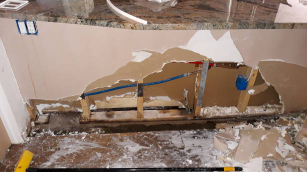 Best Commercial water damage restoration  in Paloma Creek, TX