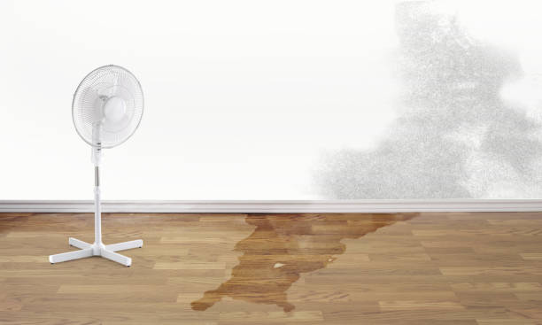  Paloma Creek, TX Water damage restoration Pros