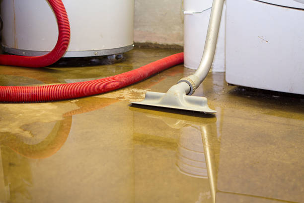 Best Sewage cleanup and water damage restoration  in Paloma Creek, TX