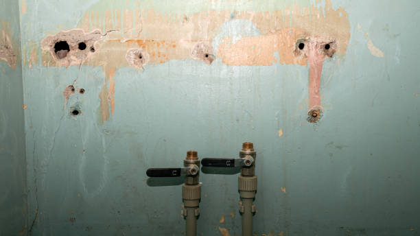 Best 24/7 water damage repair  in Paloma Creek, TX