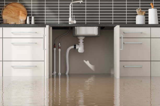 Best Flooded house restoration  in Paloma Creek, TX