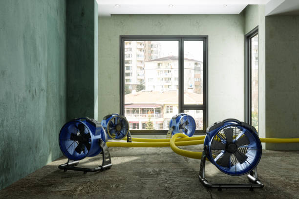 Best 24-hour water damage restoration  in Paloma Creek, TX