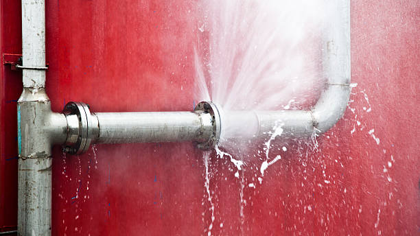 Best Professional water damage repair  in Paloma Creek, TX