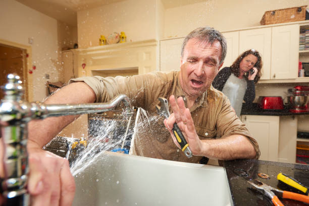 Best Sewage cleanup and water damage restoration  in Paloma Creek, TX